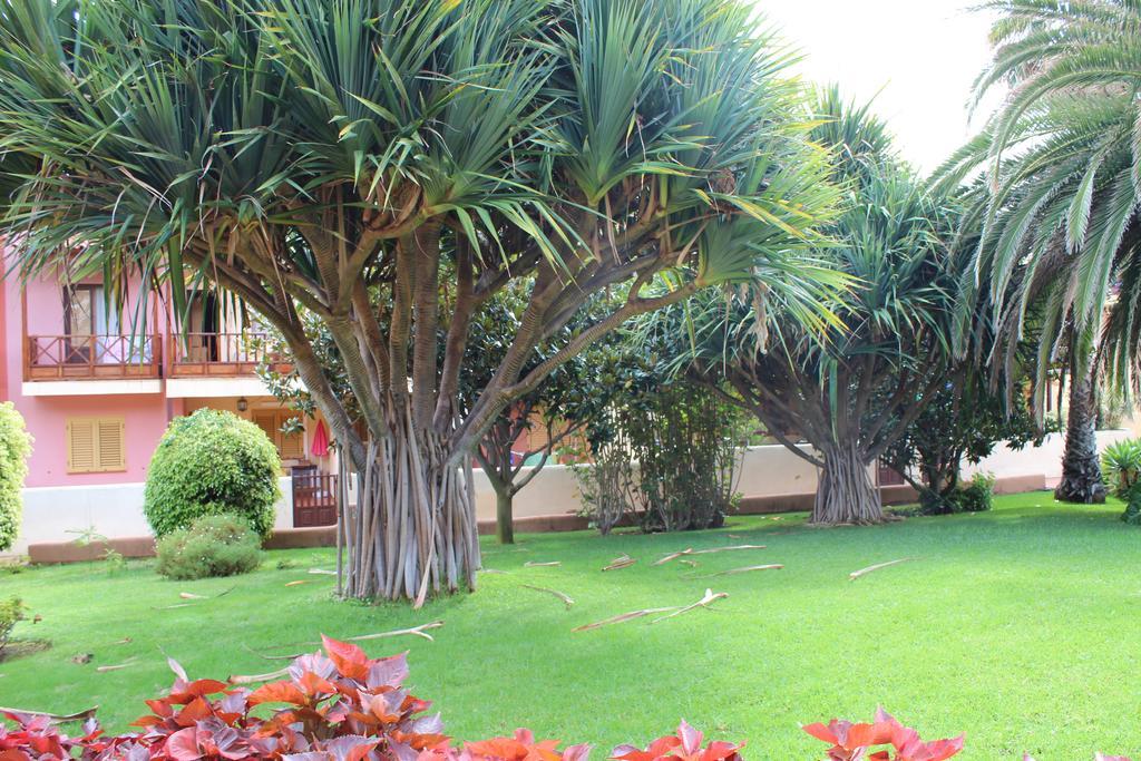 Vivienda Vacacional Los Balconcitos Playa Cancajos.- BreNa Baja  Εξωτερικό φωτογραφία